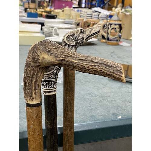 27 - THREE VINTAGE WALKING STICKS TO INCLUDE ONE WITH A YELLOW METAL COLLAR AND DOG HEAD HANDLE, ONE WITH... 