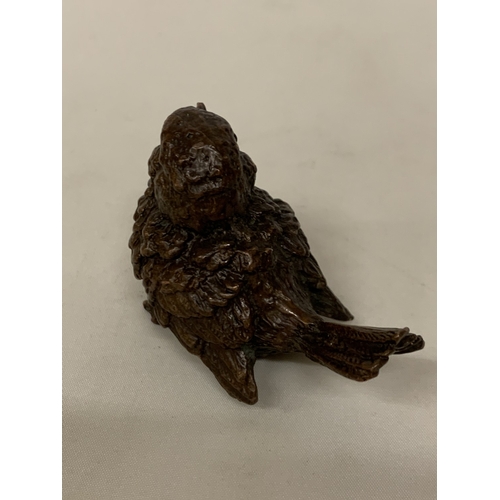 53 - A BRONZE FIGURE OF A BIRD, HEIGHT 5CM