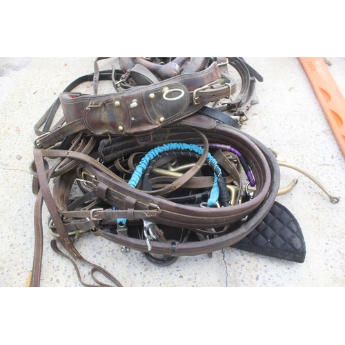 46 - HORSE HARNESS  NO VAT