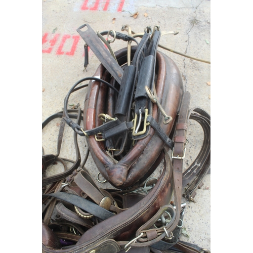 46 - HORSE HARNESS  NO VAT