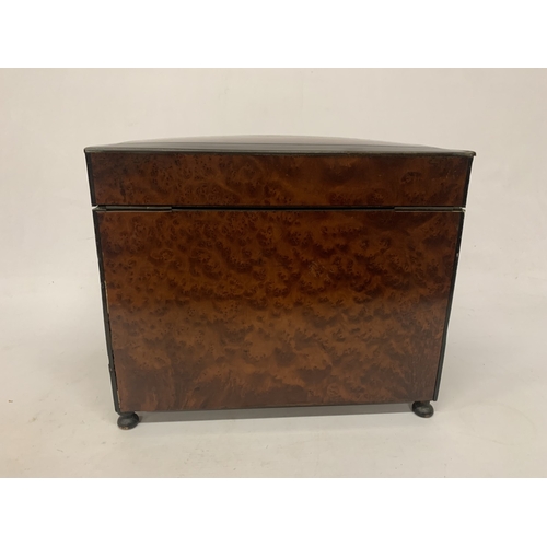 9 - A CONTINENTAL MAHOGANY LIQUEUR CABINET WITH INNER FITTINGS, A BURR WALNUT VENEER AND BUN FEET, HEIGH... 