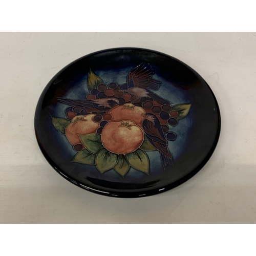 33 - A MOORCROFT TUBE-LINED SHALLOW BOWL IN THE FINCHES AND FIG PATTERN DESIGNED BY SALLY TUFFIN - 26 CM ... 