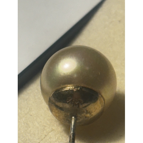 699 - A MARKED SILVER NECKLACE WITH PENDANT AND A PAIR OF MARKED SILVER LARGE SOLITAIRE PEARL EARRINGS WIT... 