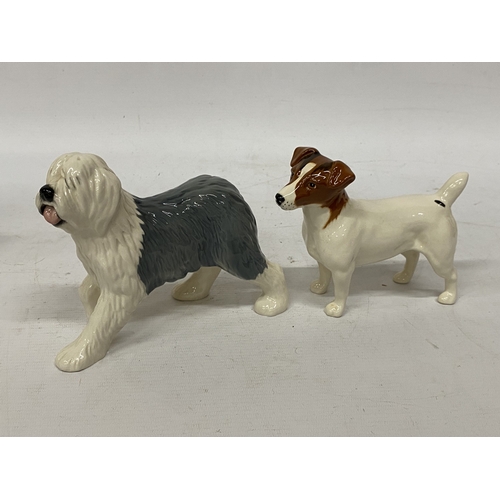 1011 - TWO BESWICK DOGS - A JACK RUSSELL AND AN OLD ENGLISH SHEEPDOG