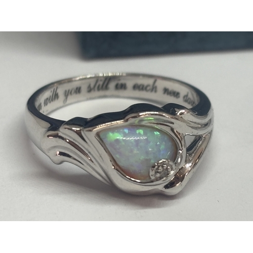 543 - TWO SILVER RINGS IN A PRESENTATION BOX