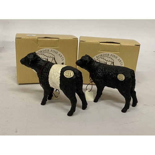 1019 - TWO BOXED BORDER FINE ARTS GALLOWAY CALF FIGURES A5258 (BLACK) AND A6865 (BELTED)