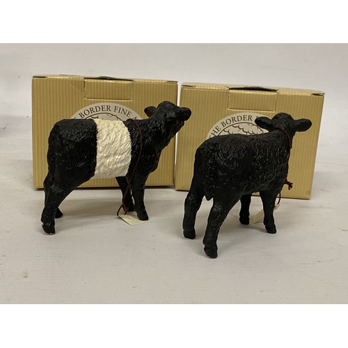 1019 - TWO BOXED BORDER FINE ARTS GALLOWAY CALF FIGURES A5258 (BLACK) AND A6865 (BELTED)