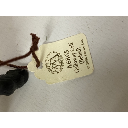 1019 - TWO BOXED BORDER FINE ARTS GALLOWAY CALF FIGURES A5258 (BLACK) AND A6865 (BELTED)