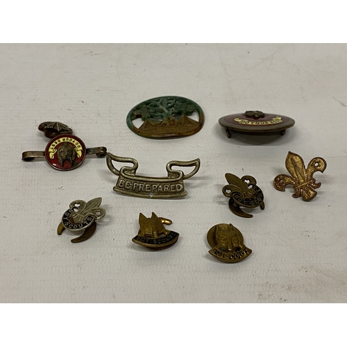 171 - A COLLECTION OF BOY SCOUT BADGES TO INCLUDE A 1938 BEAUDESERT