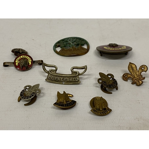 171 - A COLLECTION OF BOY SCOUT BADGES TO INCLUDE A 1938 BEAUDESERT