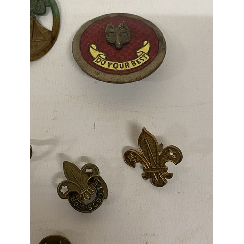 171 - A COLLECTION OF BOY SCOUT BADGES TO INCLUDE A 1938 BEAUDESERT