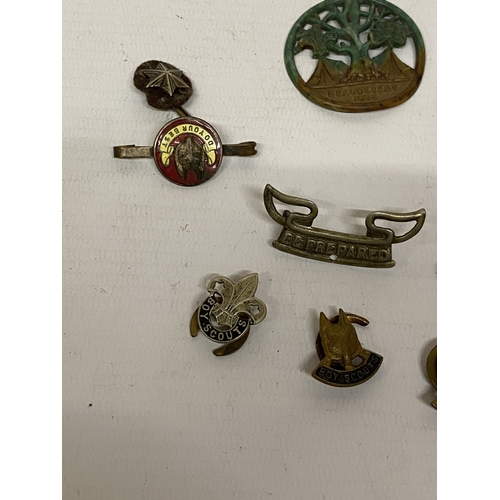 171 - A COLLECTION OF BOY SCOUT BADGES TO INCLUDE A 1938 BEAUDESERT