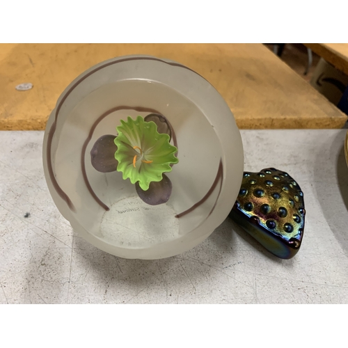 Lot 20        