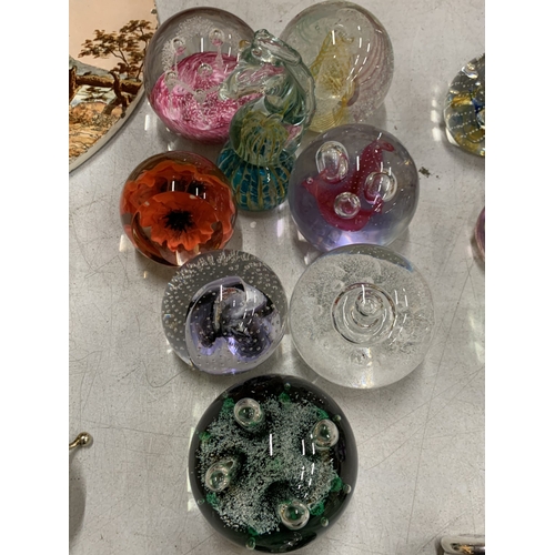 Lot 23        
