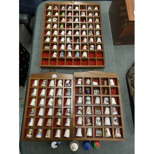 147 - A LARGE QUANTITY OF BONE CHINA THIMBLES IN WOODEN DISPLAY CASES