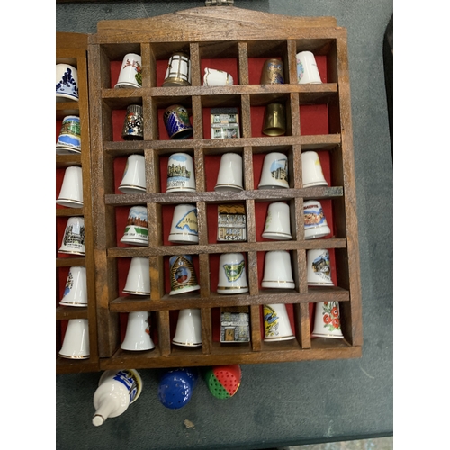 147 - A LARGE QUANTITY OF BONE CHINA THIMBLES IN WOODEN DISPLAY CASES