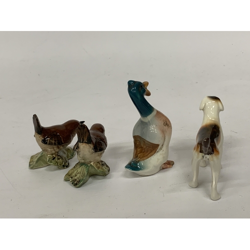807 - FOUR BESWICK FIGURES TO INCLUDE TWO WRENS, A FOXHOUND AND A DUCK