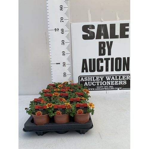 Lot 17        