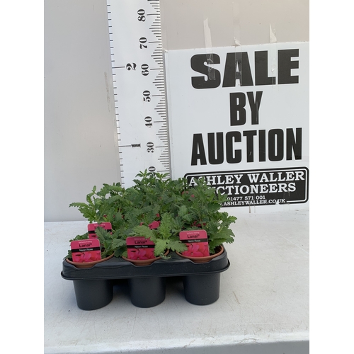 Lot 20        