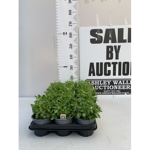 Lot 27        