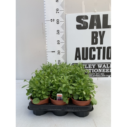 Lot 28        