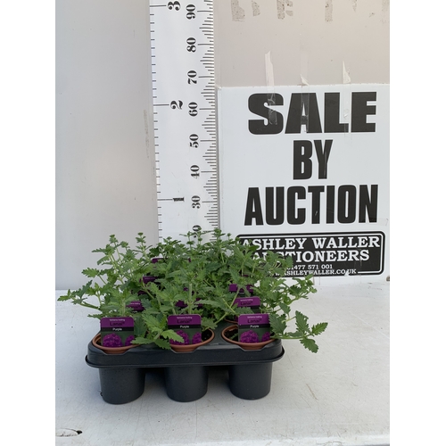 Lot 29        