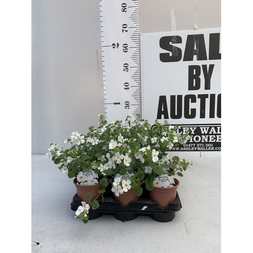 Lot 30        