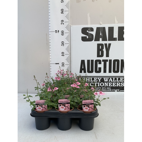 Lot 31        