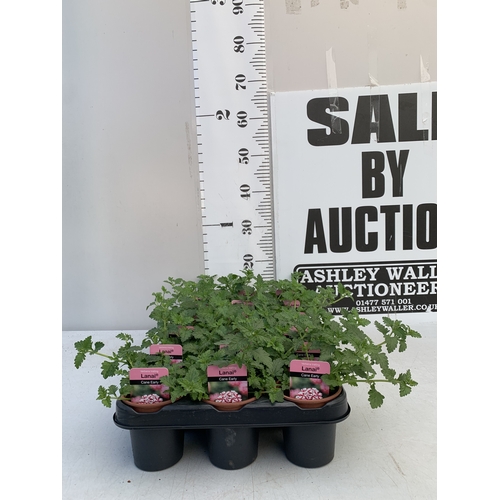 Lot 32        