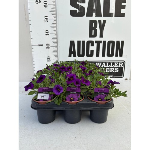 Lot 26        