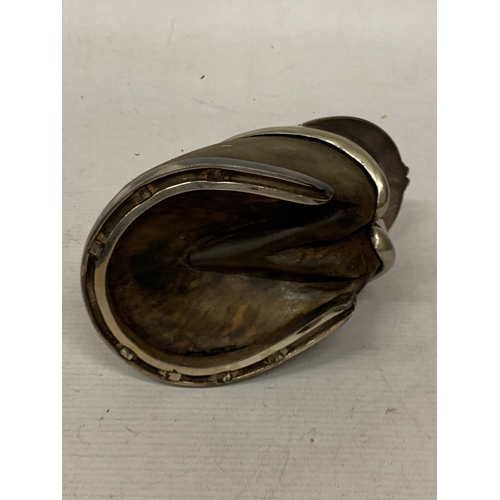 21 - A TAXIDERMY HORSE'S HOOF WITH EPNS INKWELL