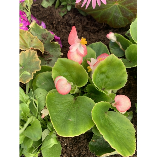 165 - ONE LARGE PLANTER FILLED WITH VARIOUS BEDDING PLANTS TO INCLUDE OSTEOSPERMUM, AUBRIETA, SEMPS, LOBEL... 