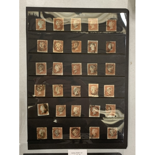 Lot 153       