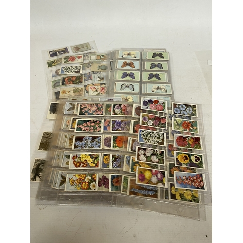 Lot 200       