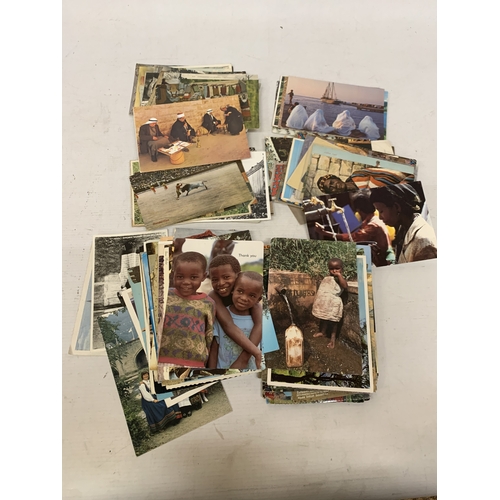 Lot 213       