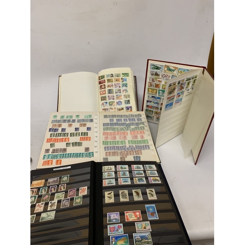 Lot 236       