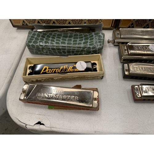 29 - ELEVEN HARMONICAS TO INCLUDE THE SUPER CHROMONICA, PARROT, BANDMASTER, BLUES BAND, ETC - MAINLY HOHN... 