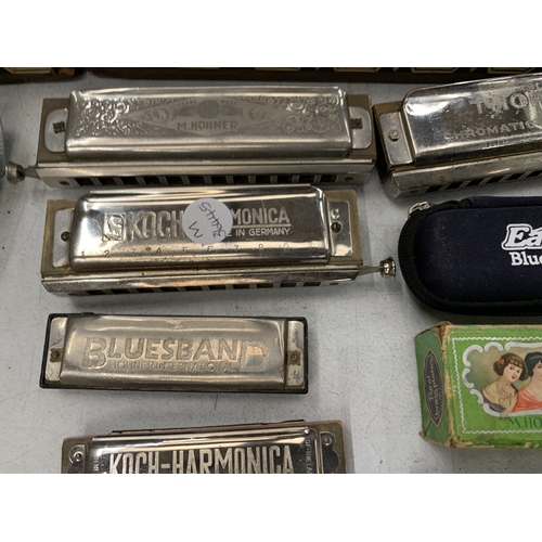 29 - ELEVEN HARMONICAS TO INCLUDE THE SUPER CHROMONICA, PARROT, BANDMASTER, BLUES BAND, ETC - MAINLY HOHN... 
