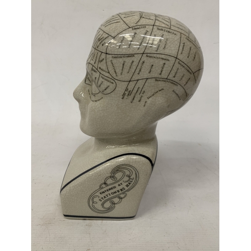 56 - A LARGE PHRENOLOGY HEAD, HEIGHT 28CM
