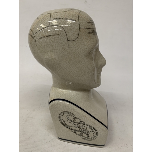 56 - A LARGE PHRENOLOGY HEAD, HEIGHT 28CM