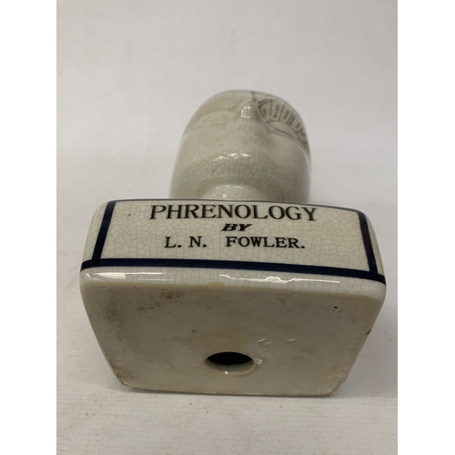 56 - A LARGE PHRENOLOGY HEAD, HEIGHT 28CM