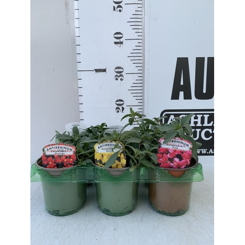 Lot 14        