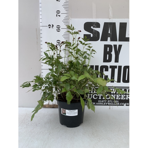 Lot 25        