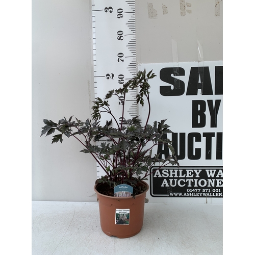 Lot 26        