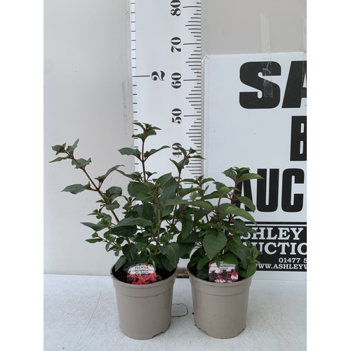 Lot 30        