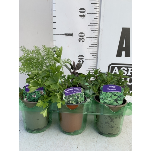 Lot 54        