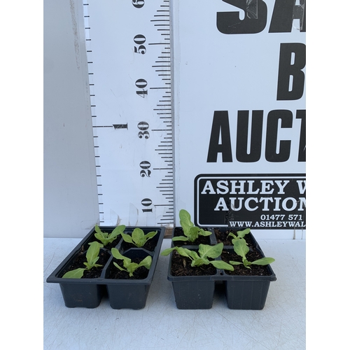Lot 58        