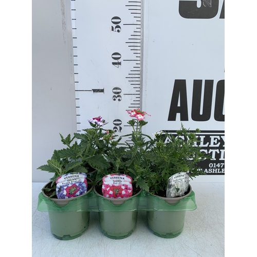 Lot 18        