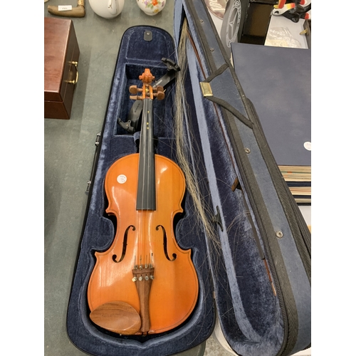 Lot 204       