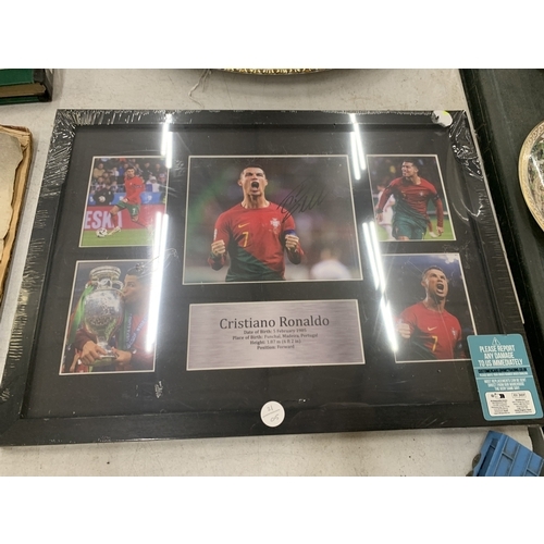 Lot 260A      